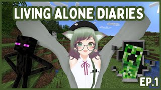 IN THE BENINGING  EP1  Living Alone Diaries [upl. by Elbring]