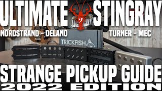 Ultimate Stingray Strange Pickup Guide 2022 Edition  ft Trickfish IPA Preamp  LowEndLobster Builds [upl. by Stacee137]