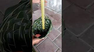 tutorial centong daun kelapa [upl. by Htebazile549]