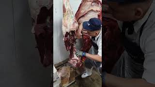 beef Deboning 🐄🐃🔪 hindquarteramp forequarter 🍖 beef [upl. by Rfinnej210]