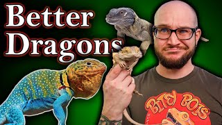 You DO NOT Want A Bearded Dragon 5 BETTER Bearded Dragon Alternatives [upl. by Aiyotal]