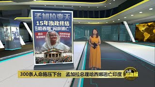 反政府示威近300人死 孟加拉总理“闪辞” 逃亡印度  八点最热报 06082024 [upl. by Aiker988]