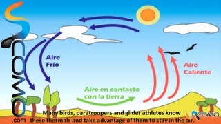 Porque suben los globos aerostáticos la convención [upl. by Ribaj]