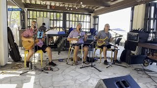 Enjoy the sounds of a trio of Waikiki musicians [upl. by Socram982]