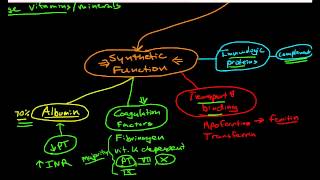 Hepatic Physiology 1 Functions of the Liver [upl. by Aicineohp]