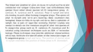 Description of Immature Stages of the Brown Dog Tick Rhipicephalus Sanguineus Acari Ixodidae Using S [upl. by Keeton]