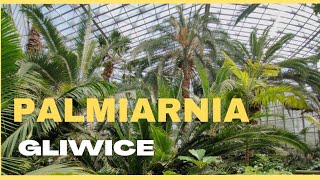 PALMIARNIA Gliwice🌴The Palm house Poland [upl. by Seaman]