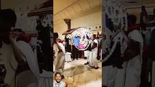 Shri Krishna Prabhu ka jhulan Yatra 🙏🙏  shorts harekrishna jhulanyatra [upl. by Doowron]