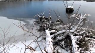 Damariscotta River Association February 2014 [upl. by Caffrey143]