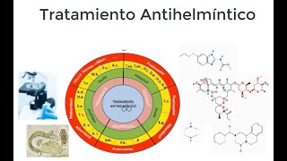 Tratamiento Antihelmíntico Antiparasitarios [upl. by Anertal]