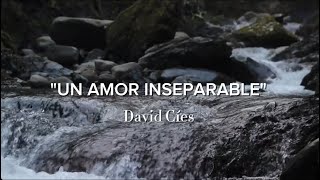 quotUN AMOR INSEPARABLEquot David Cíes [upl. by Lemuela]