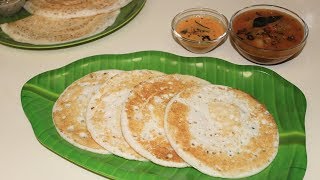 തട്ടുദോശ  നാടൻ ദോശ  സാദാ ദോശ  Perfect Dosa Batter Recipe  Dosa Recipe  Set Dosa Pachakalokam [upl. by Horter531]