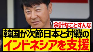 【裏工作】韓国さん、日本代表と次節対戦のインドネシア代表を緊急支援wwwwwwwww [upl. by Soilissav]