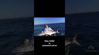 NEW COASTWATCH FISHING CONTENT FULL VIDEO at coastwatchcomau MACKEREL MAYHEM [upl. by Alrahs]