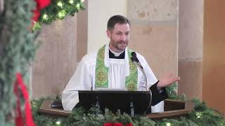 Feminine modesty Sermon by Father Paul Robinson [upl. by Ok]