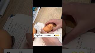 Capibara cochee🤣🤣iboop iBOOP capybara peluches plush regalos gifts capibara dolls [upl. by Aratahs]