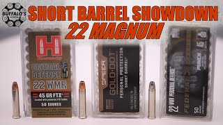 22 MAGNUM SELF DEFENSE AMMUNITION GEL BLOCK TEST  SHORT BARREL [upl. by Philis]