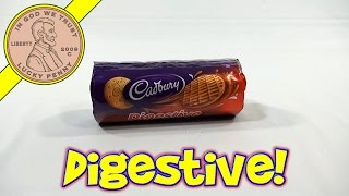 McVities Digestives Milk Chocolate Flavor  UK Snack Sampler [upl. by Mailiw]