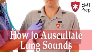 How to Auscultate Lung Sounds  EMTprepcom [upl. by Maryn]