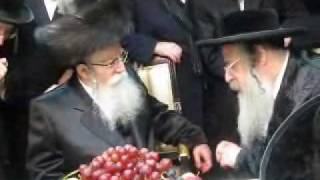 R Leibush of Pshevorsk visiting Sanz Klausenburg Rebbe 5770 [upl. by Pauly]