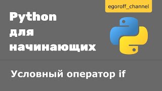 15 Условный оператор if Python Если Python [upl. by Uriel408]