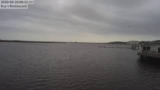 Steinhatchee River Webcam [upl. by Shanahan]