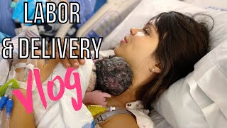 Labor And Delivery Vlog  Successful VBAC Birth [upl. by Merilyn536]