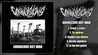 Convulsions  Grindcore Not War LP Preview 2023  Grindcore [upl. by Ahsan]