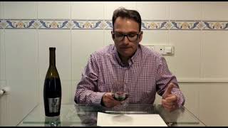 Videocata La Estacada Syrah Merlot 2016 [upl. by Nnaarat]