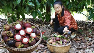 quot Mangosteen fruit quot Harvest mangosteen from grandmother backyard for cooking  Country chefs [upl. by Lukin965]