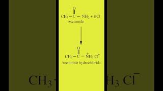 Amphoteric Character of Amides  Acetamide chemistry  Land of Chemistry [upl. by Emmalee391]