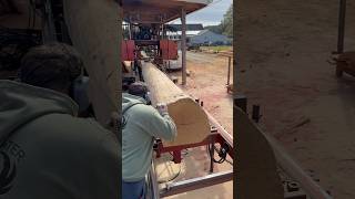 White Oak Cut Into 2x9’s  Cooks AC36 sawmill [upl. by Cran465]