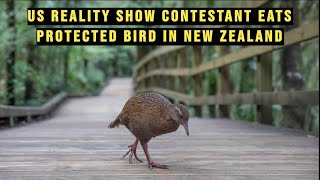 US Reality Show Contestant Eats Protected Bird in New Zealand [upl. by Filia]