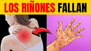 8 Signos de Salud Renal Cómo Detectar Problemas en los Riñones [upl. by Ikcin]