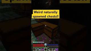 Weird double chest minecraft gaming rlcraft rlcraftv2 rlcraftdregora minecraftgameplay [upl. by Rossner282]