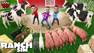 Kena shit shumë Lopë Derra edhe Dhia   Ranch Simulator  SHQIPGaming [upl. by Akenet]