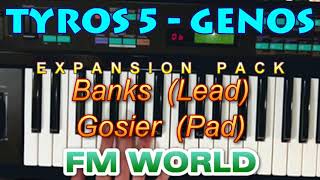 Yamaha TYROS 5  GENOS SX PSRs sounds from FM World Expansion Pack [upl. by Baptiste]