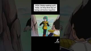 Dragon ball z Abridged Meme TeamFourStar [upl. by Aicittel285]