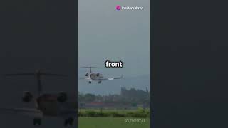 Mastering Soft Field Landings Tips amp Techniques AviationTikTok viralvideo ForYou FYP PilotLife [upl. by Alimat]