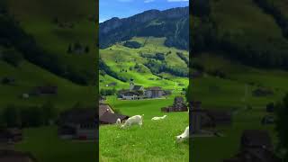 schwende​ alpstein​ appenzell​ switzerland​ hiking​ hoherkasten​visitswitzerland​shortvideo [upl. by Dorelia]