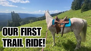 Arabian HORSE 🏔️ Trail riding in MONTANA POV [upl. by Atteiluj]