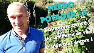 HEBDO POTAGER 8 [upl. by Sunil19]