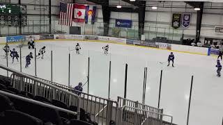 LRR 12 U Tournament Team vs Las Vegas Storm Game 2 Silver Sticks [upl. by Tara]