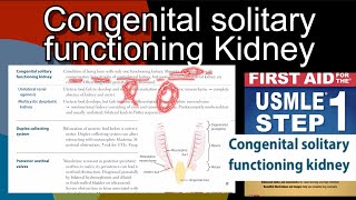 Congenital solitary functioning kidney  Unilateral renal agenesis  Multicystic dysplastic kidney [upl. by Rondon]