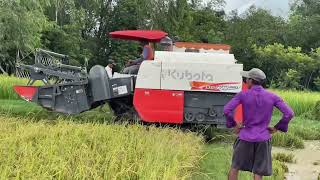 Machine Kubota DC70 Pro Farm Harvester From DC70 Farmer Life [upl. by Sidonia]