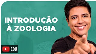 ZOOLOGIA  CONCEITOS BÁSICOS  Reino Animalia  Prof Kennedy Ramos [upl. by Ruthanne]