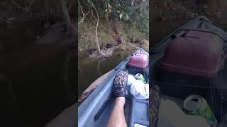 The hole in the wall Dugspur Va panther creek kayaking kayakfishing wildlifeoutdooradventure [upl. by Narrad]