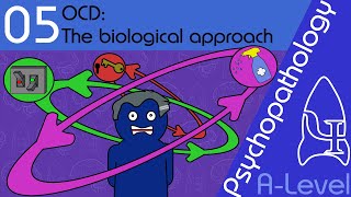 OCD explaining and treating Biological approach  Psychopathology ALevel Psychology [upl. by Kokaras]