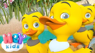 5 petits Canards 🐥 Chanson Cinq canetons partirent nager  HeyKids Comptines pour bébé  Animaj Kids [upl. by Adyeren]