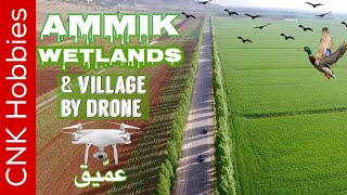 Ammiq Wetlands By Drone  Skaff estate in 4K  عمّيق البقاع [upl. by Midian527]